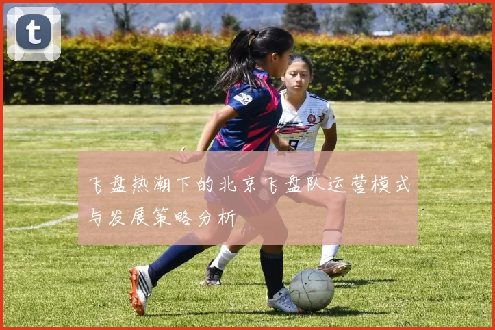 飞盘热潮下的北京飞盘队运营模式与发展策略分析