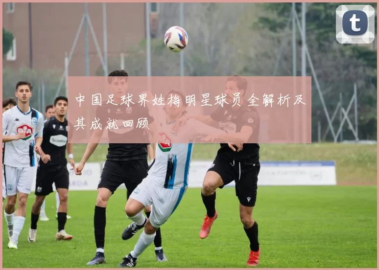 中国足球界姓梅明星球员全解析及其成就回顾