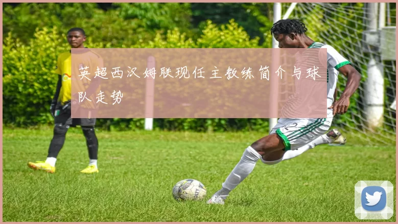 英超西汉姆联现任主教练简介与球队走势