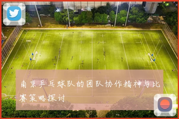 南京乒乓球队的团队协作精神与比赛策略探讨