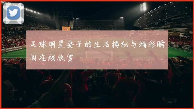 足球明星妻子的生活揭秘与精彩瞬间在线欣赏