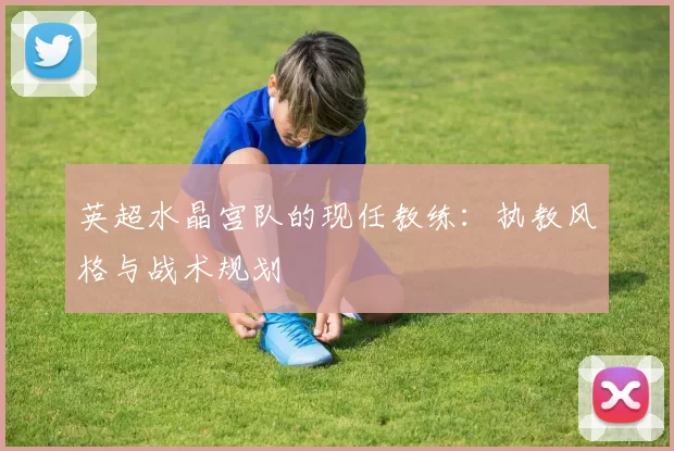 英超水晶宫队的现任教练：执教风格与战术规划