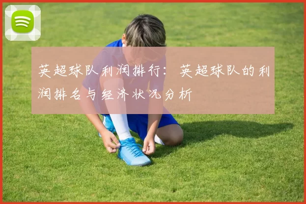 英超球队利润排行：英超球队的利润排名与经济状况分析