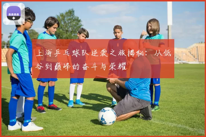 上海乒乓球队逆袭之旅揭秘：从低谷到巅峰的奋斗与荣耀