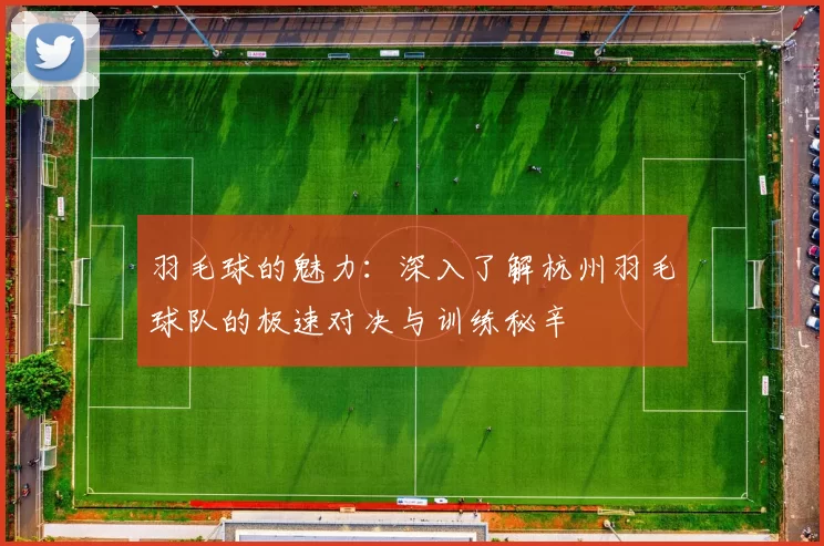 羽毛球的魅力：深入了解杭州羽毛球队的极速对决与训练秘辛