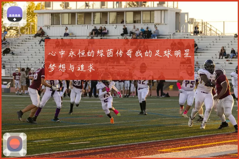心中永恒的绿茵传奇我的足球明星梦想与追求