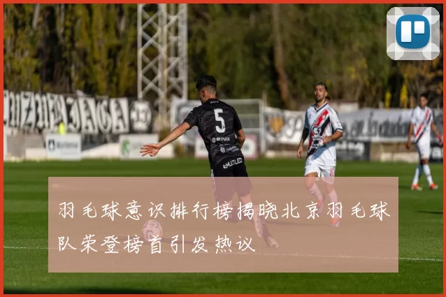 羽毛球意识排行榜揭晓北京羽毛球队荣登榜首引发热议