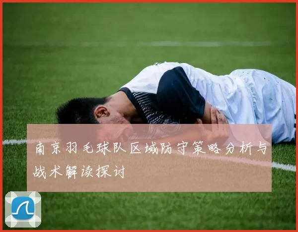 南京羽毛球队区域防守策略分析与战术解读探讨