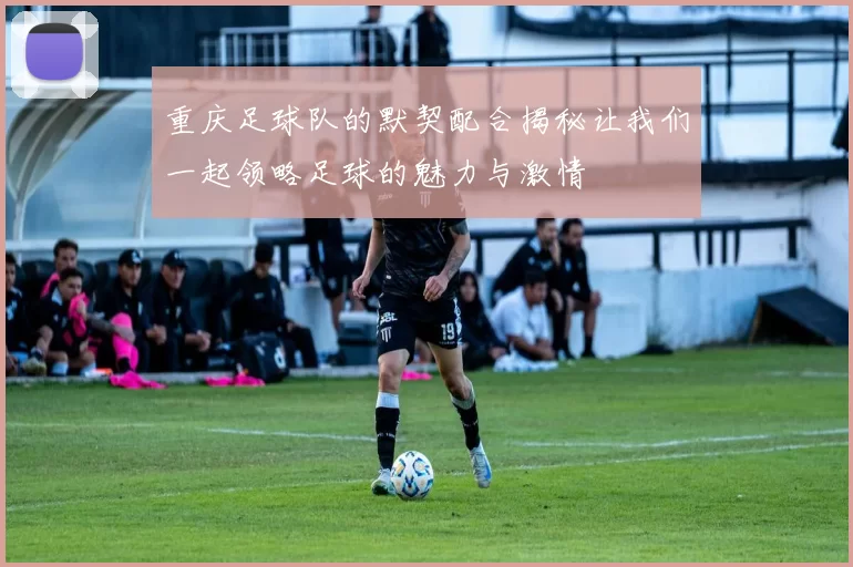 重庆足球队的默契配合揭秘让我们一起领略足球的魅力与激情