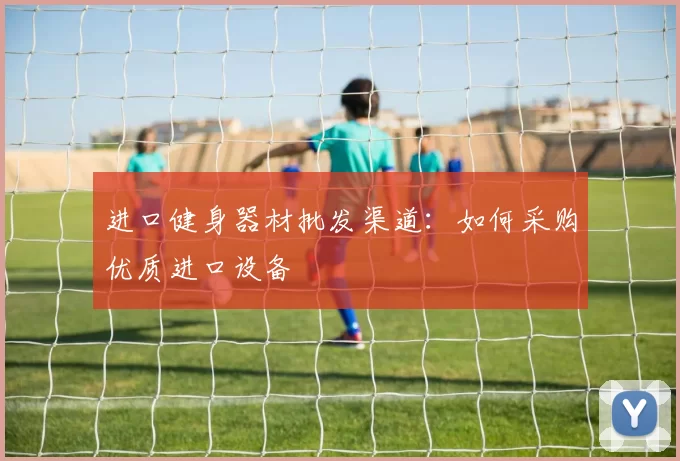 进口健身器材批发渠道：如何采购优质进口设备