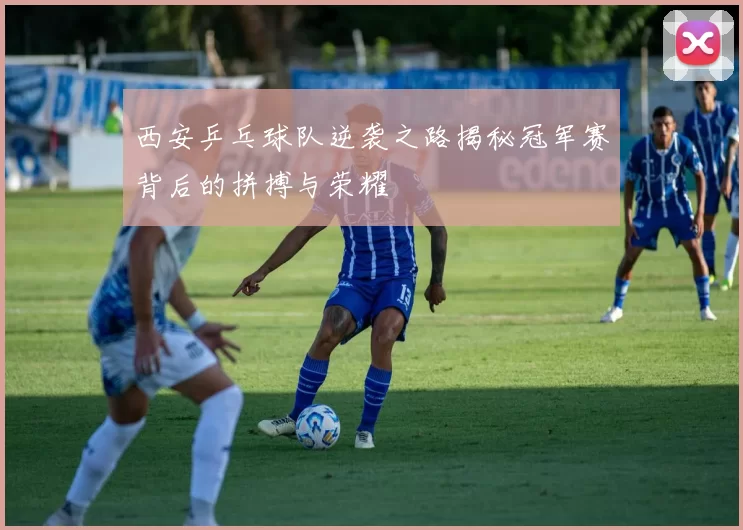 西安乒乓球队逆袭之路揭秘冠军赛背后的拼搏与荣耀