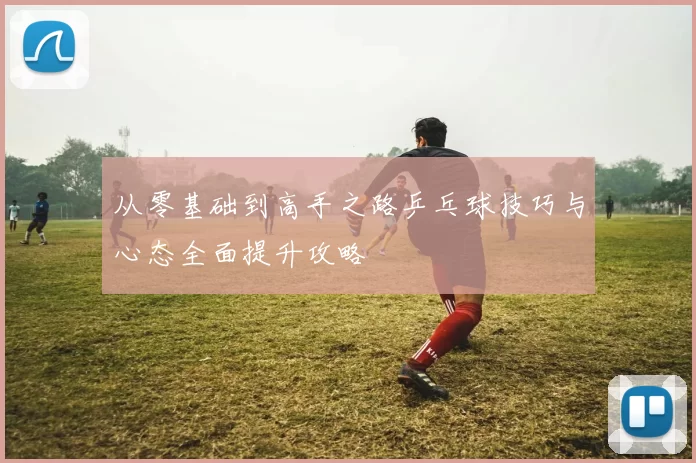 从零基础到高手之路乒乓球技巧与心态全面提升攻略