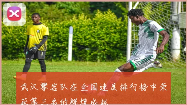 武汉攀岩队在全国速度排行榜中荣获第三名的辉煌成就
