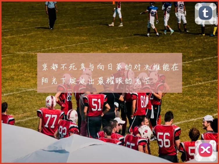 京都不死鸟与向日葵的对决谁能在阳光下绽放出最耀眼的光芒