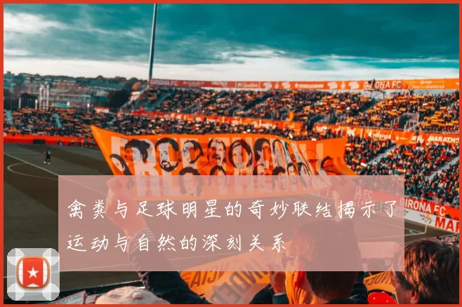 禽粪与足球明星的奇妙联结揭示了运动与自然的深刻关系